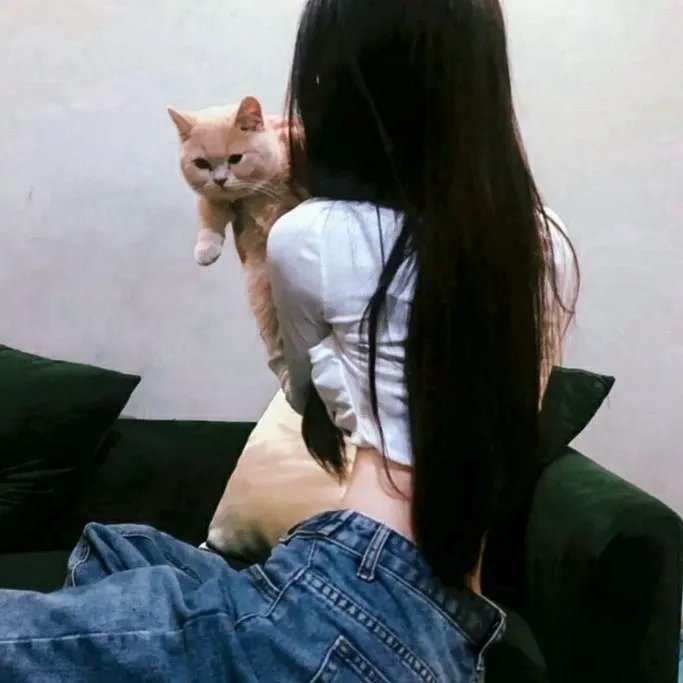情陷红磨坊